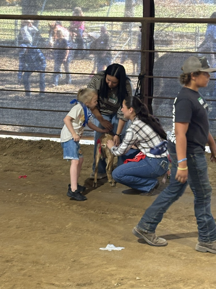 Sunshine Rodeo