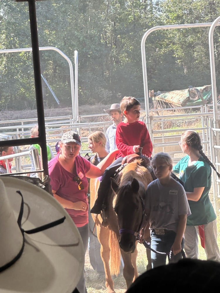 Sunshine Rodeo