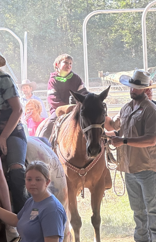 Sunshine Rodeo