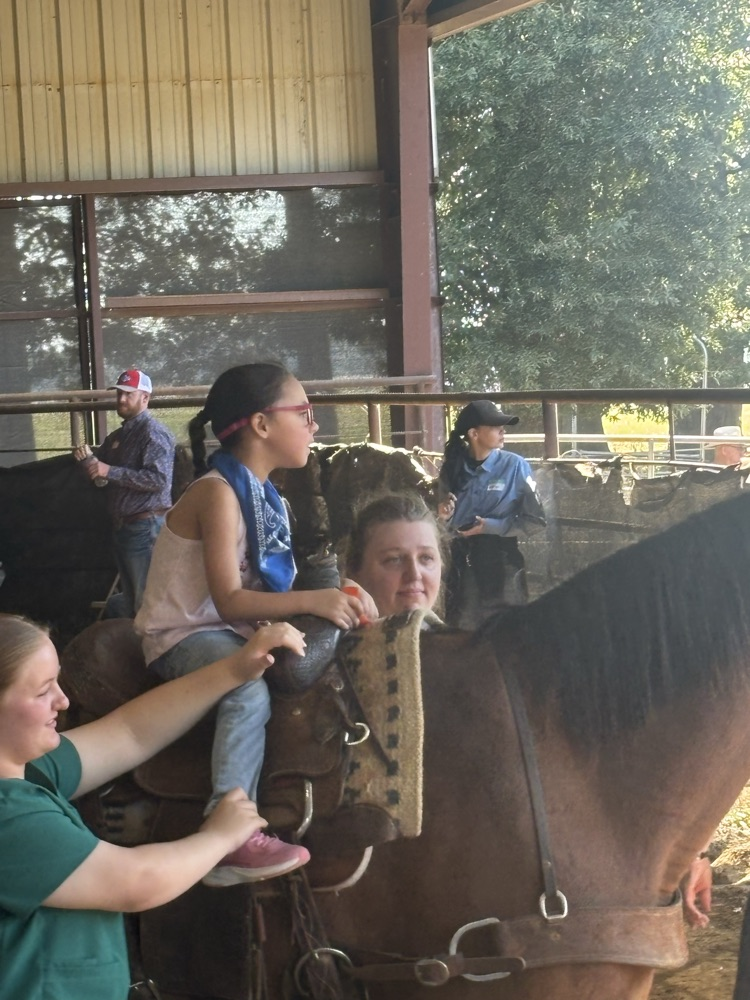 Sunshine Rodeo