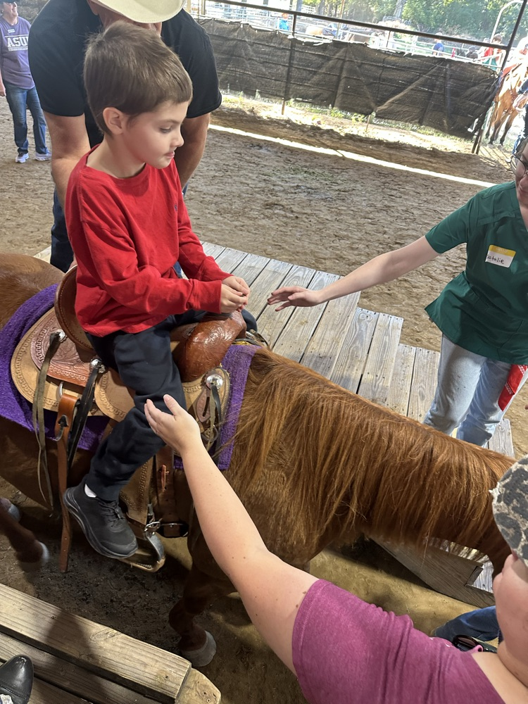 Sunshine Rodeo