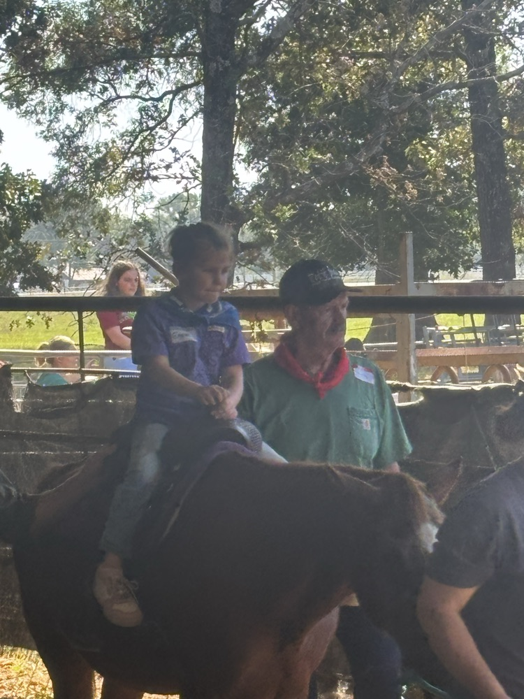 Sunshine Rodeo