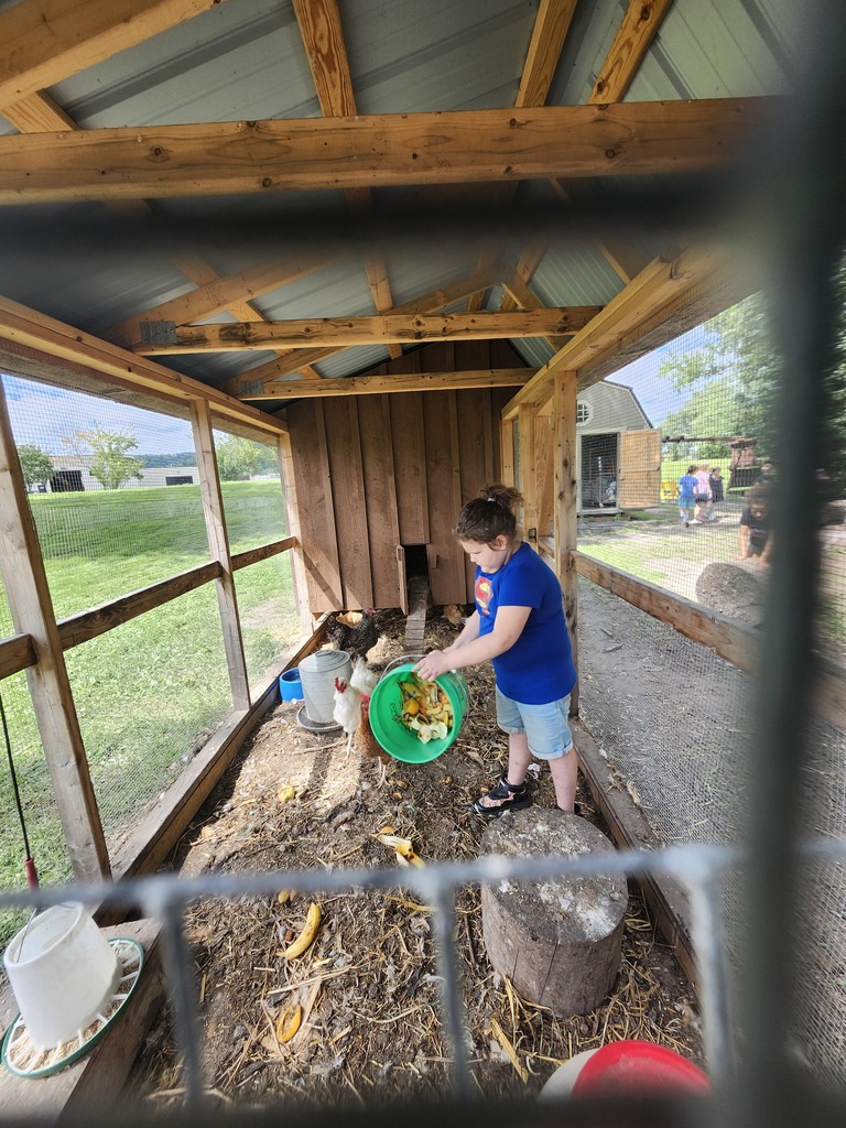 Scraps for chickens