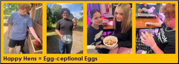 Egg-ceptional eggs.