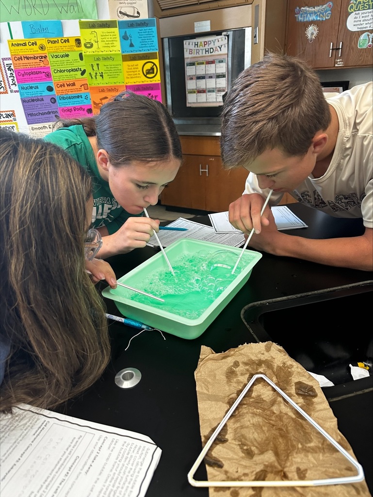 Exploring Cell Membranes in Biology