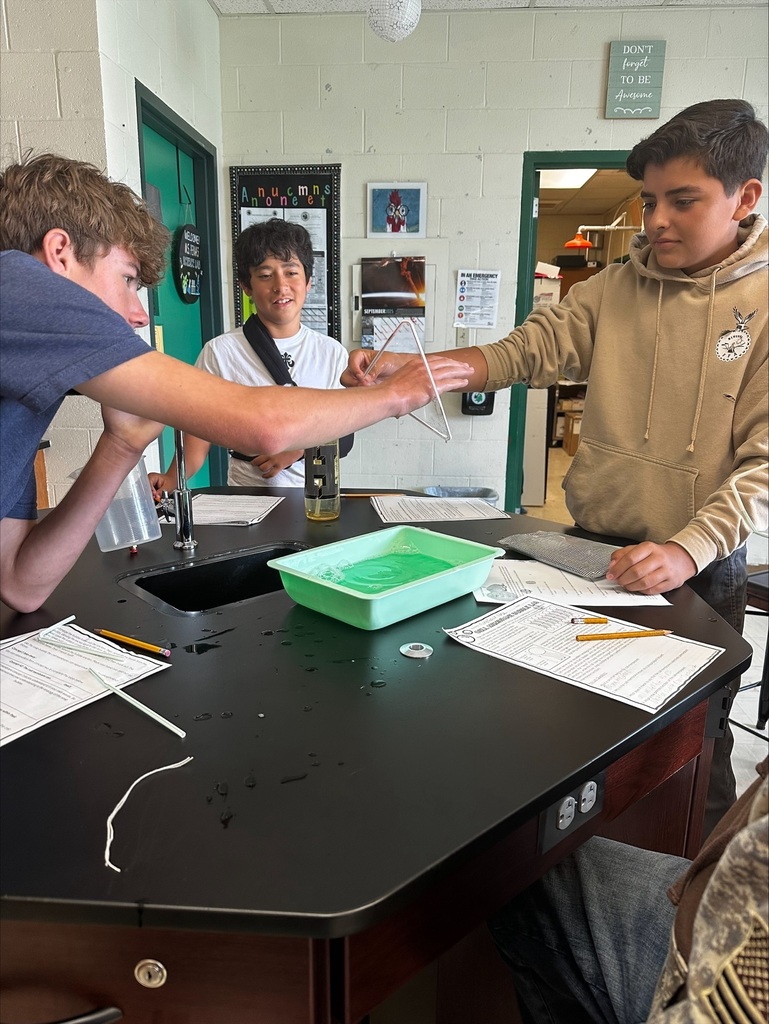 Exploring Cell Membranes in Biology