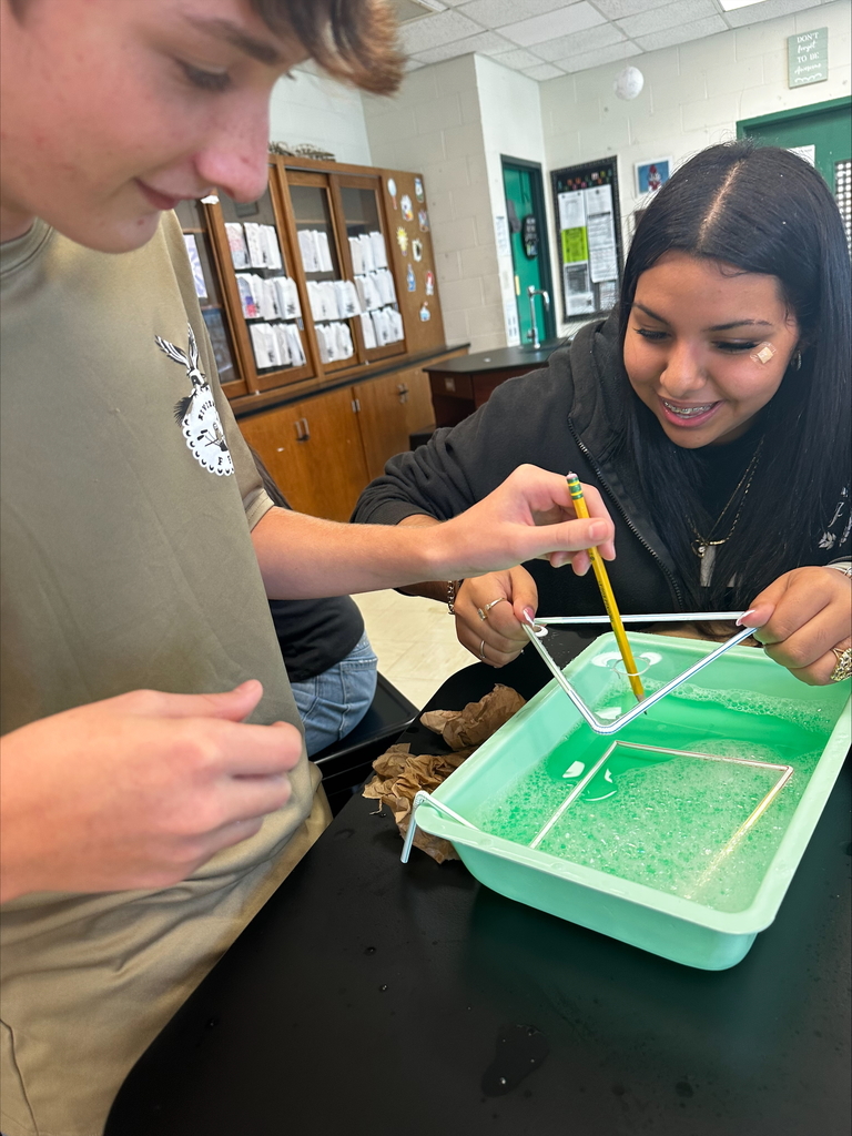 Exploring Cell Membranes in Biology