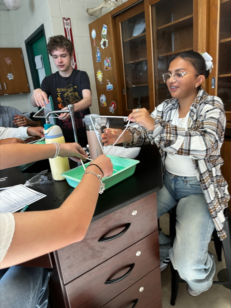 Exploring Cell Membranes in Biology
