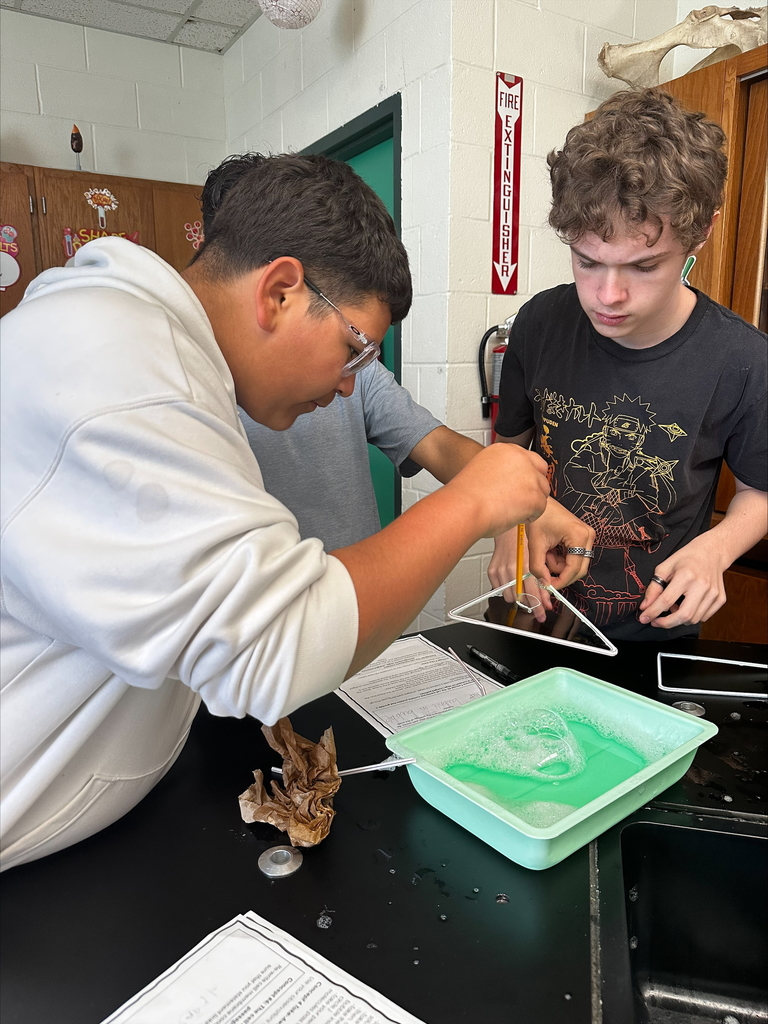 Exploring Cell Membranes in Biology