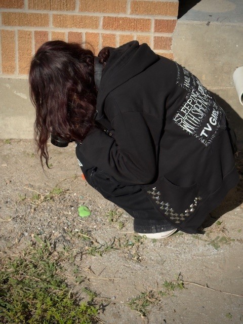 Digital Media students