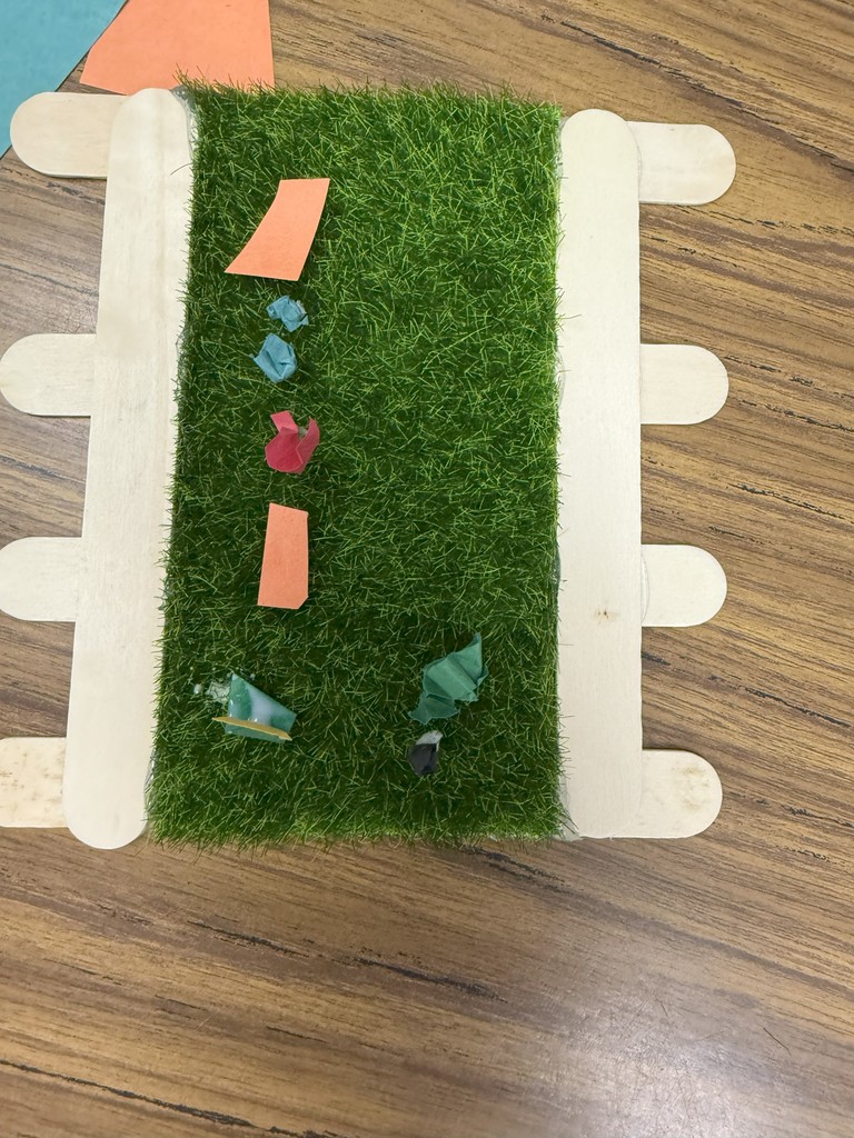 1st Grade