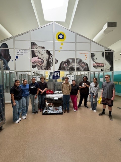 Small Animal Management students