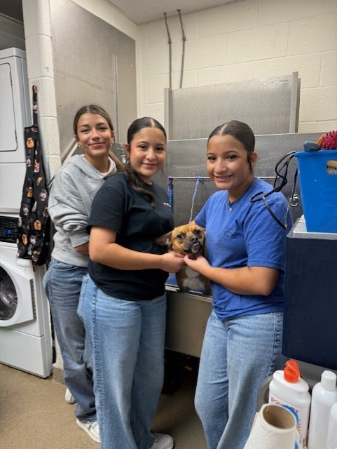 Small Animal Management students