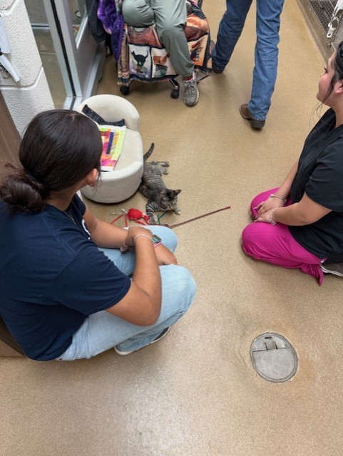 Small Animal Management students