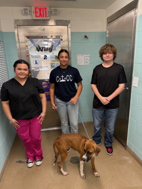 Small Animal Management students