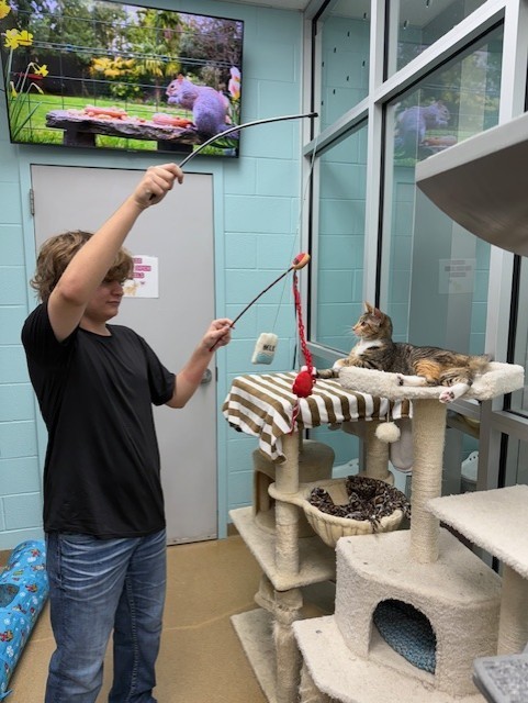 Small Animal Management students