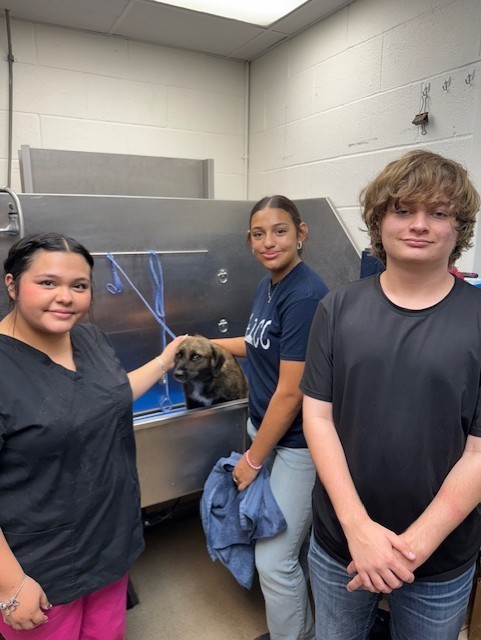 Small Animal Management students