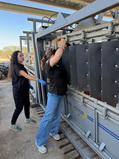 Animal Science Students