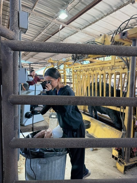 Animal Science Students