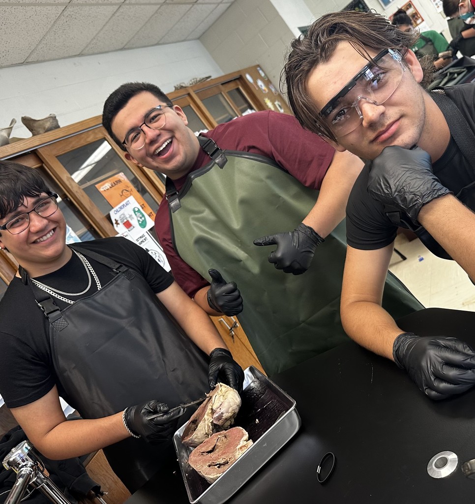 Hands-On Learning in Anatomy!