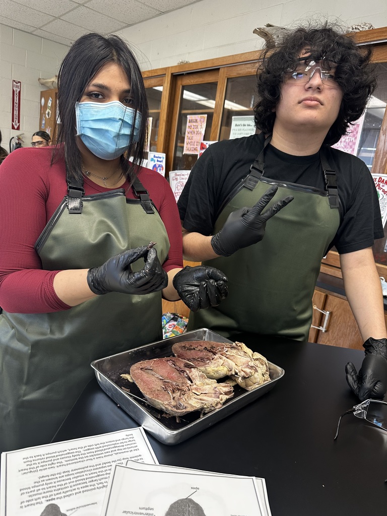 Hands-On Learning in Anatomy!