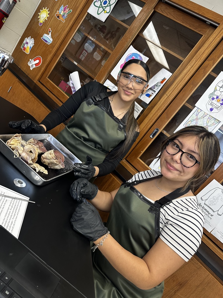 Hands-On Learning in Anatomy!