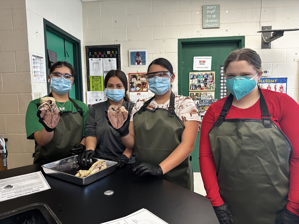 Hands-On Learning in Anatomy!