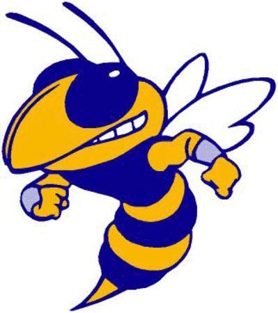 Yellow Jacket Picture