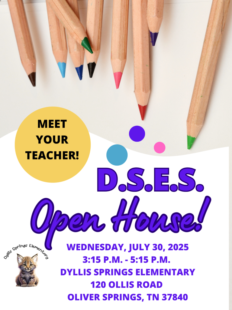 D.S.E.S. Open House