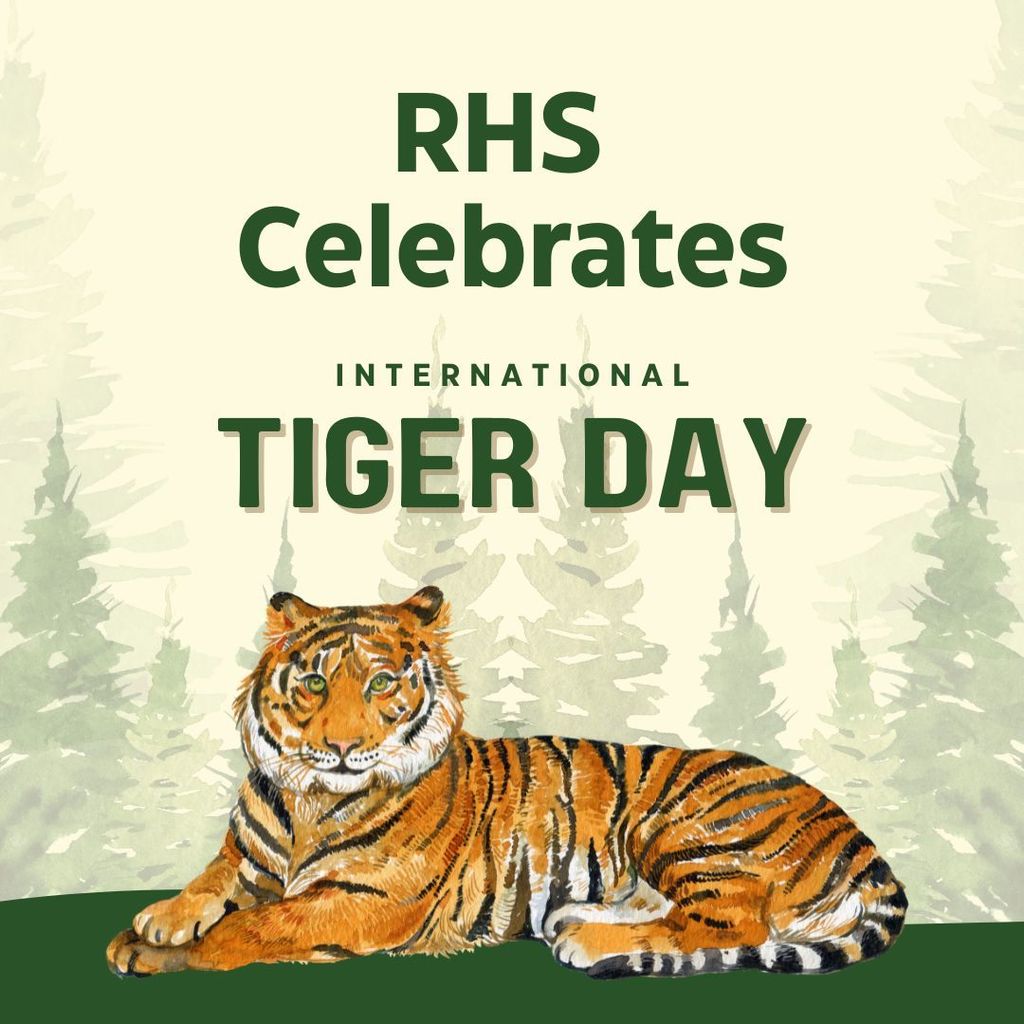 tiger day
