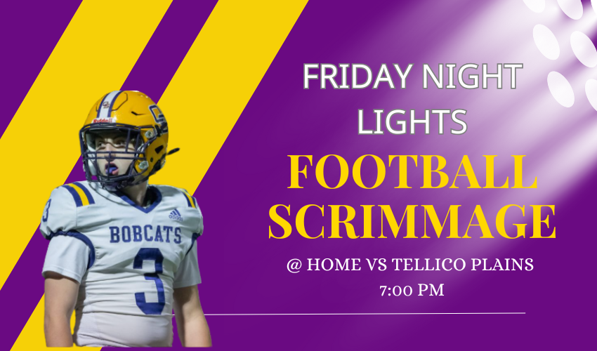 picture of football player under field lights