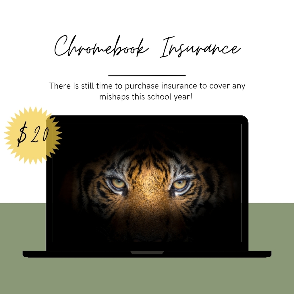 Chromebook Insurance