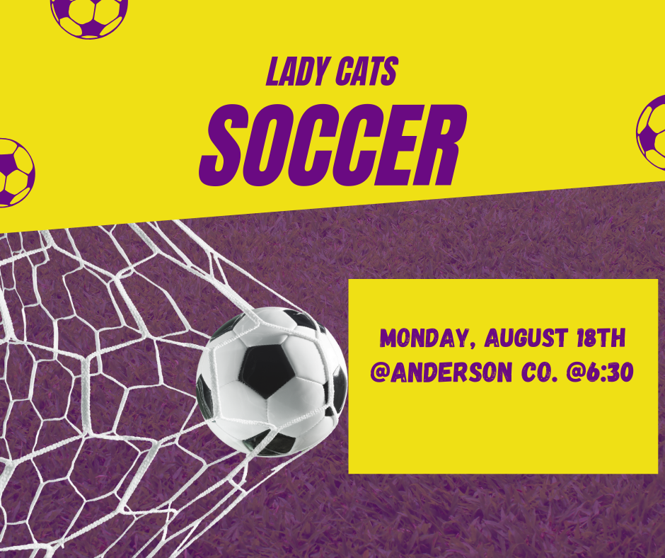 soccer ball in net