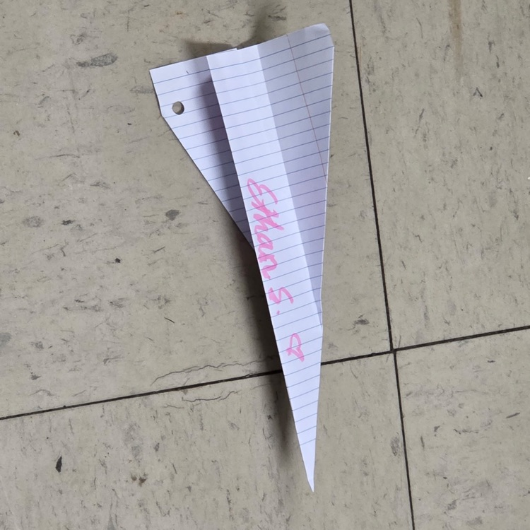 stem