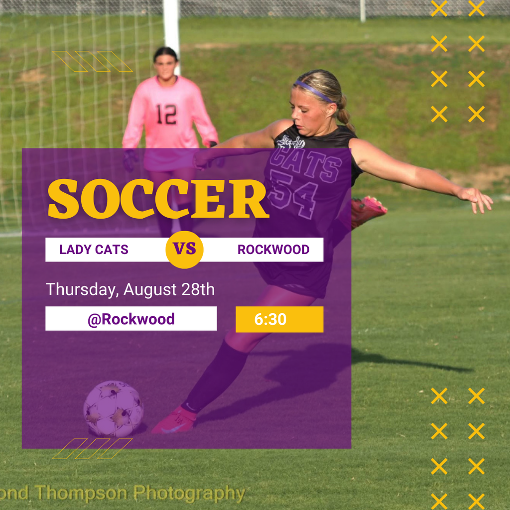 soccer picture