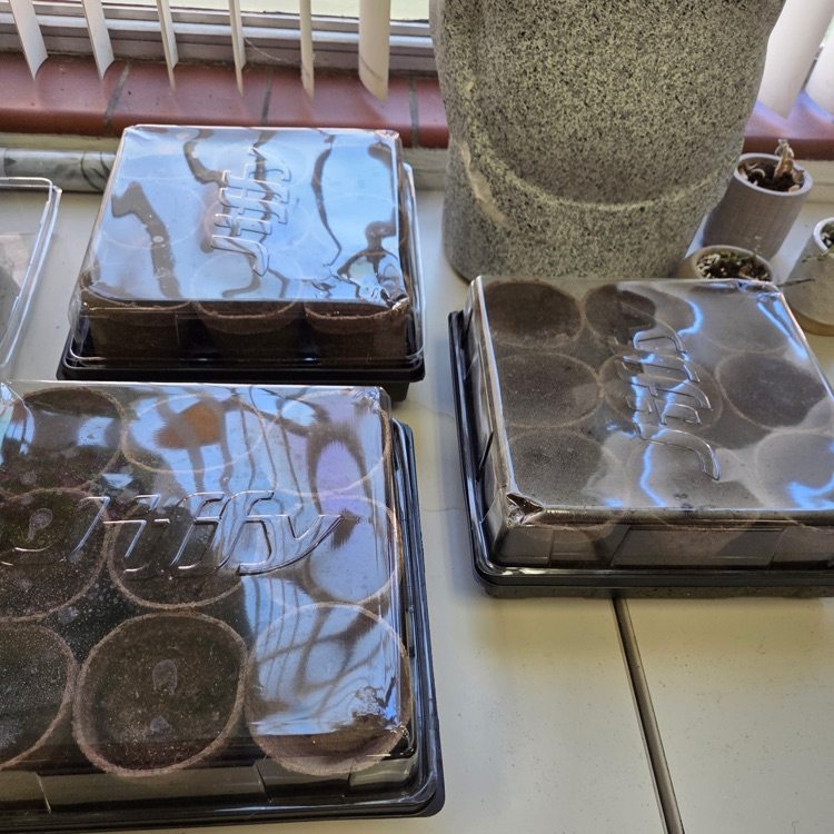 plants