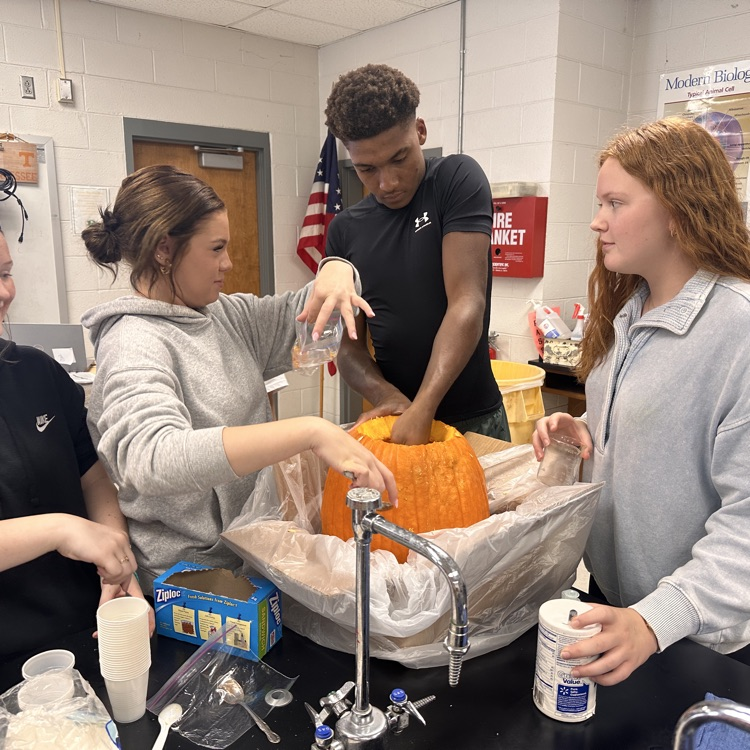 Mike helped every group get their pumpkin guts