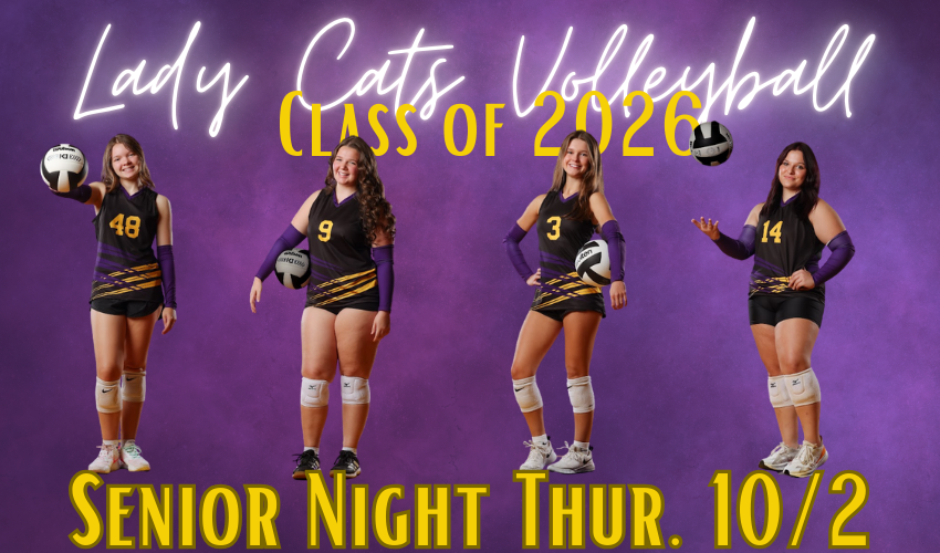 Senior Volleyball players posing
