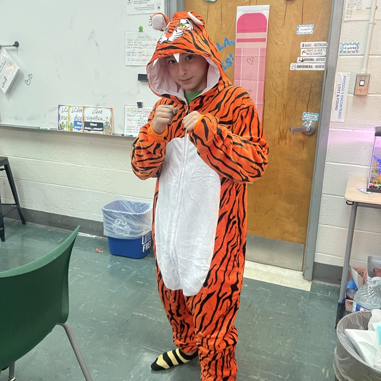 I see a tiger!