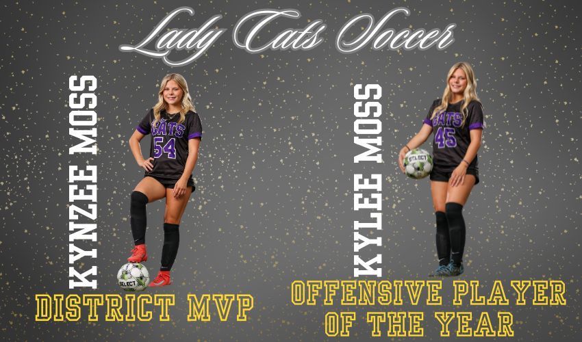 MVP & Offensive player of the year