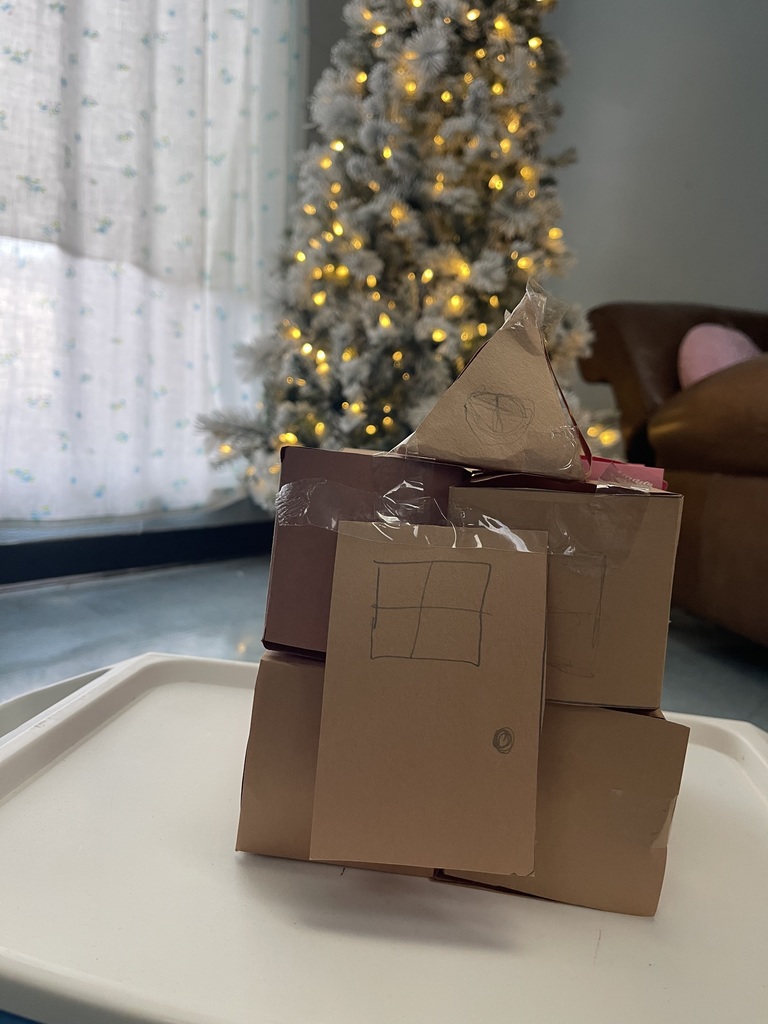 House built with boxes and paper. Tree in background.