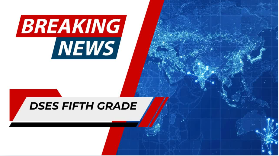 DSES newscast