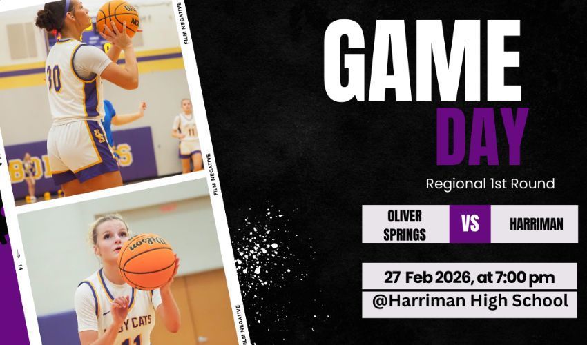 pictures of two lady cats players