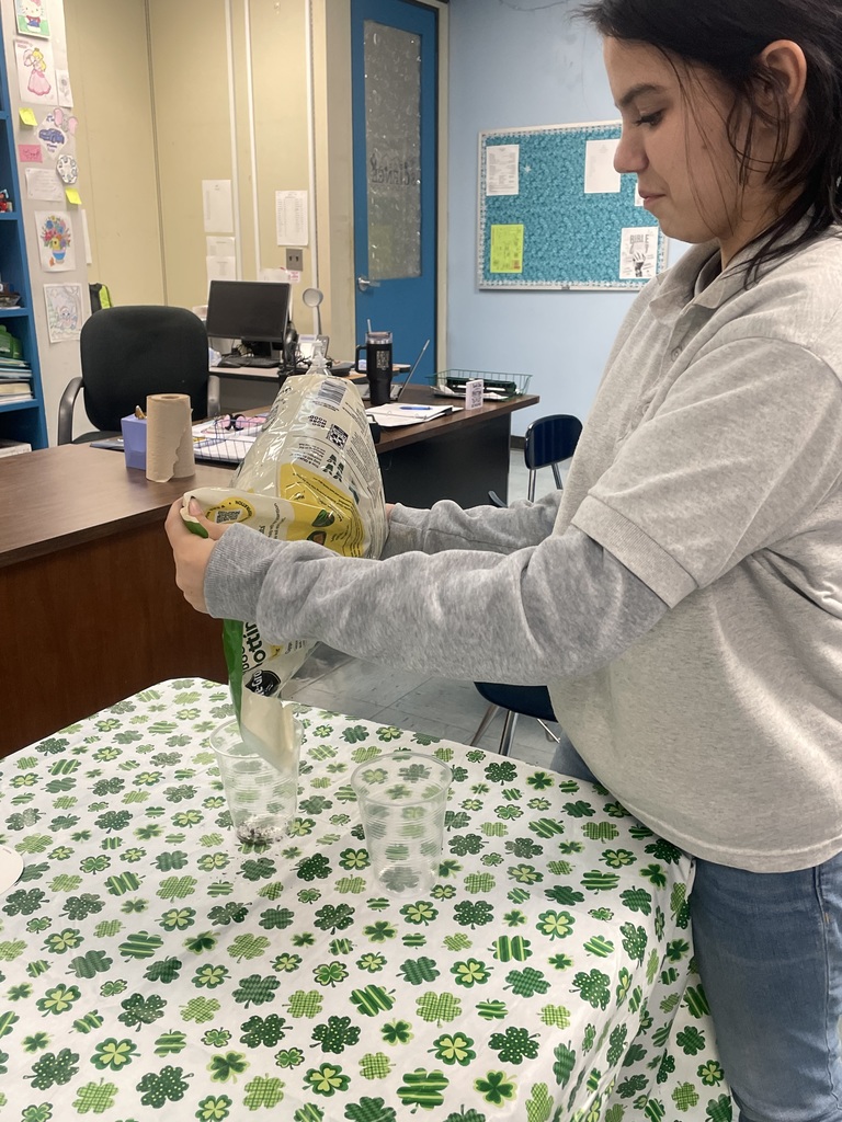 Student adding dirt to cups for planting.