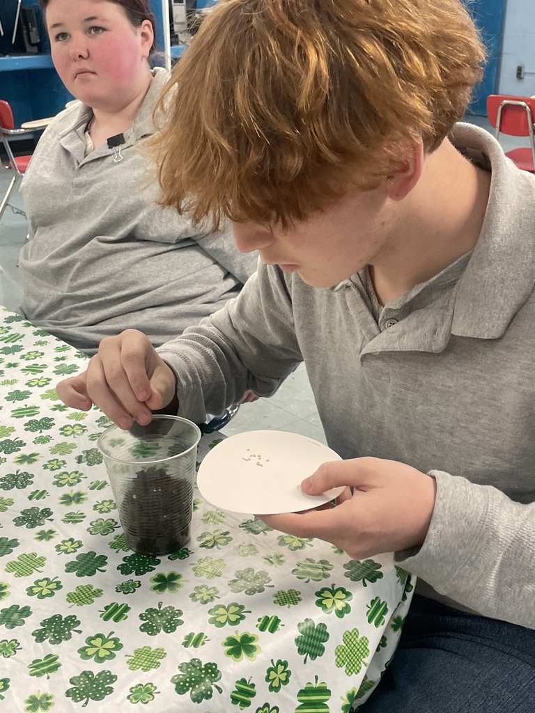 Student adding tomato seeds to dirt.