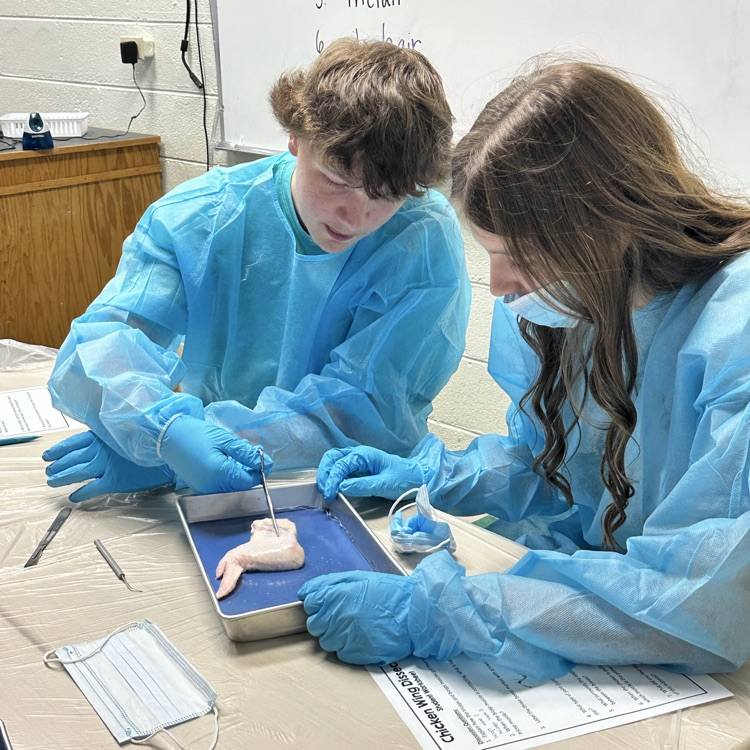 Discussing the assignment