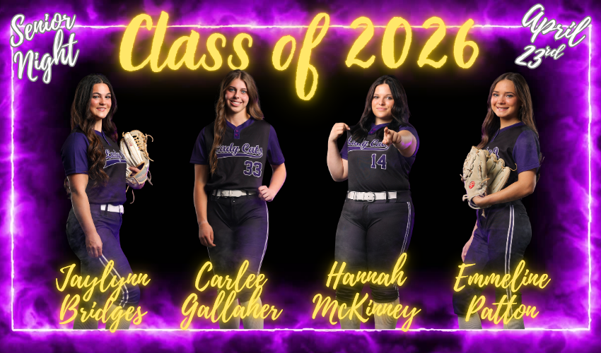 picture of senior softball players