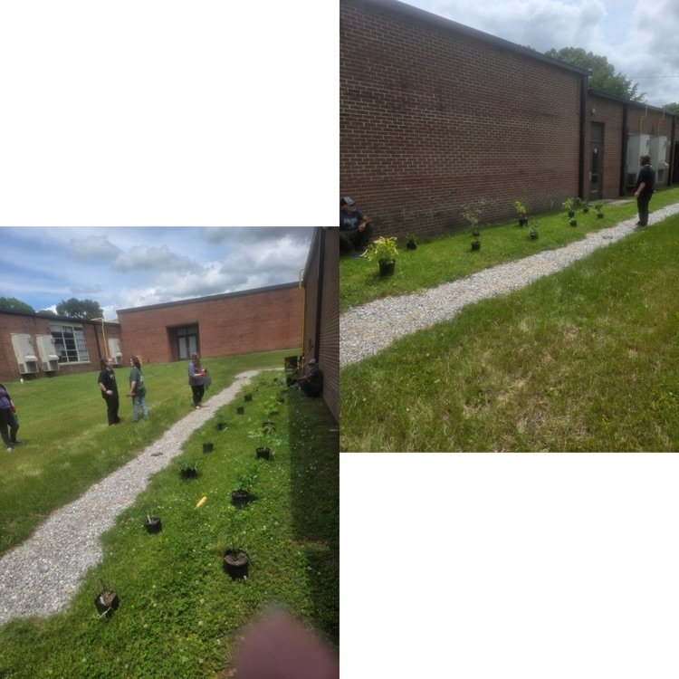 BioSTEM 