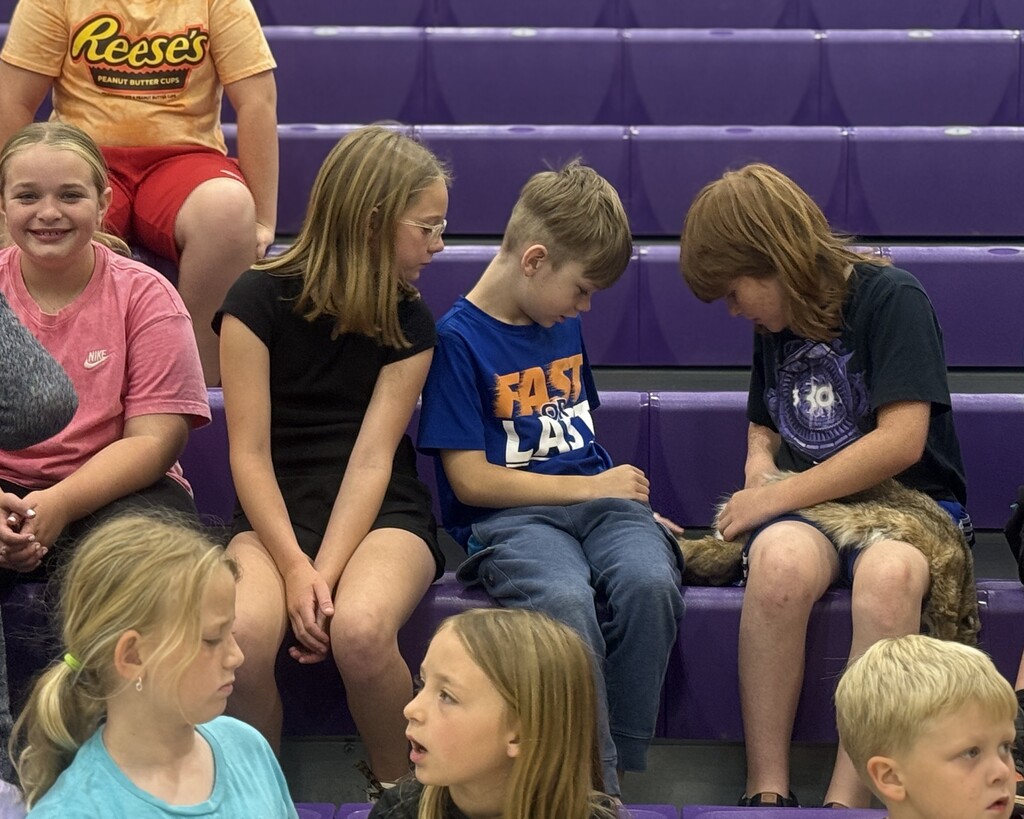 Summer Learning Camp