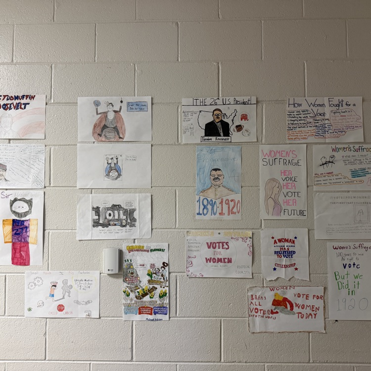 U.S. History projects